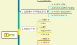 须弥翅膀爆料视频大全集,揭秘神秘世界背后的奇幻之旅