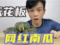 那些吃瓜网红是真的吗,哪些“吃瓜”网红的真实面目