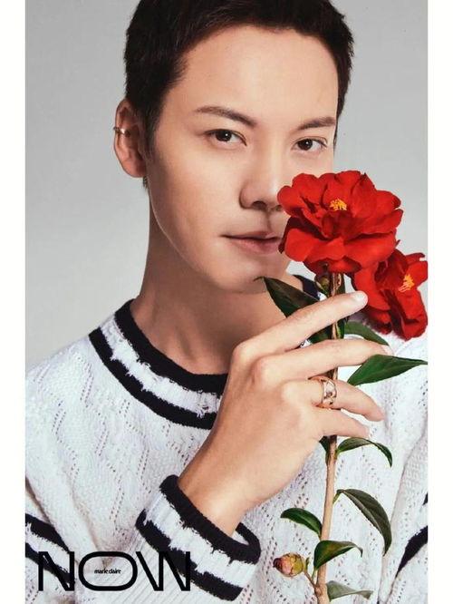 娱乐吃瓜君 景甜,娱乐圈的甜蜜瓜果，揭秘她的星途历程